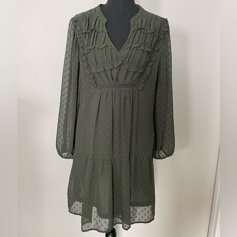 NWT Zara Lace Insert Dotted Mesh Dress